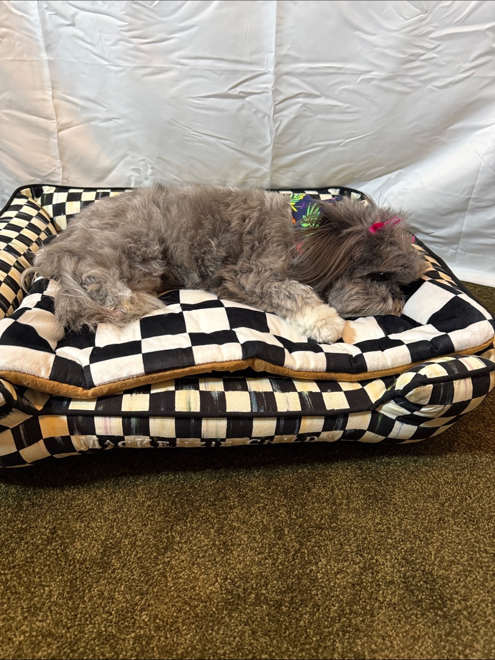 Checkerboard Pet Bed with Removable Pillow - Black & White